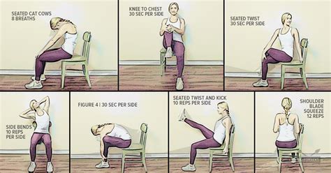 Chairs For Lower Back Problems Sante Blog