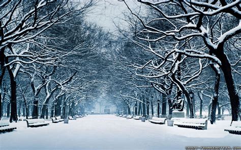 Winter Widescreen Wallpapers Full Hd Nature Hd Wallpaper