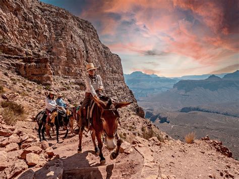 Horseback Riding In The Grand Canyon Full Guide In 2023