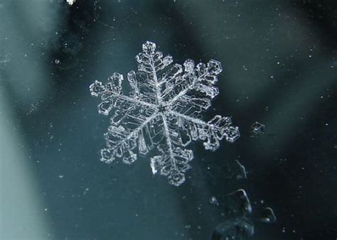 Unique And Beautiful Snowflakes 49 Pics