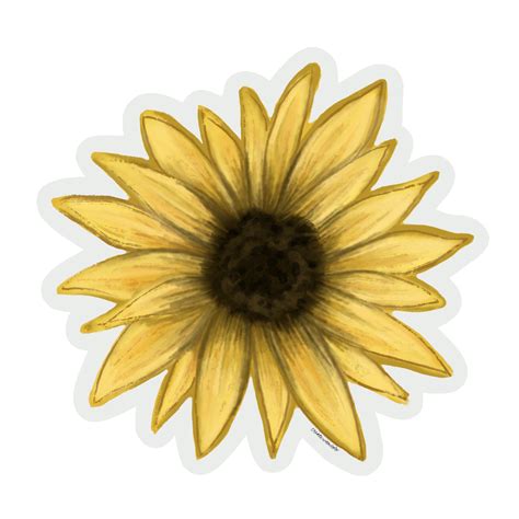 Hand Drawn Yellow Sunflower Blackbrown Center Shades Of Yellow And