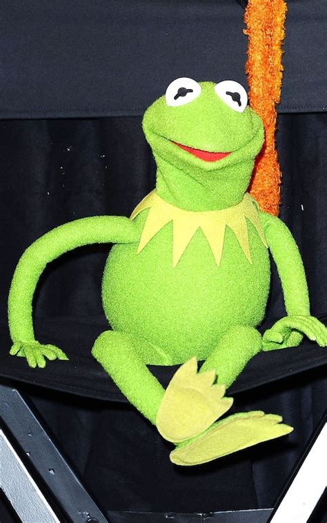 Kermit The Frog Puppeteer Devastated To Be Fired After 27 Years