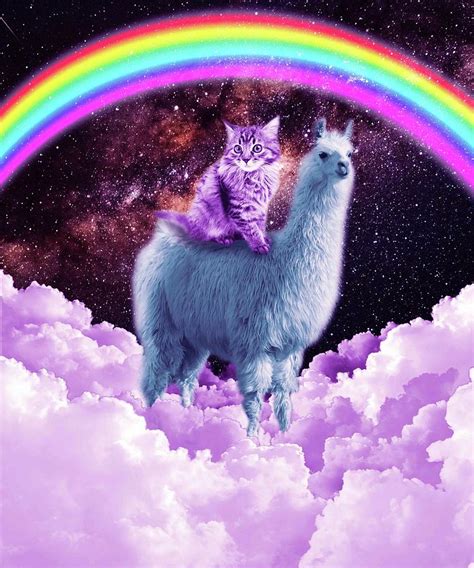 Rainbow Llama Cat Llama Digital Art By Random Galaxy Fine Art America