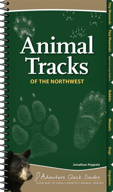 Animal Tracks Of The Northwest Adventurekeen Shop