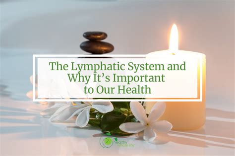 The Lymphatic System And Why Its Important Healthy Whole Life