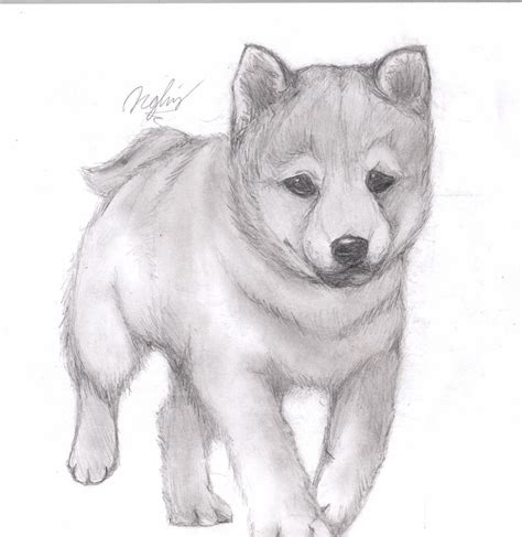 Puppy Pencil Drawing By Tsukipan On Deviantart
