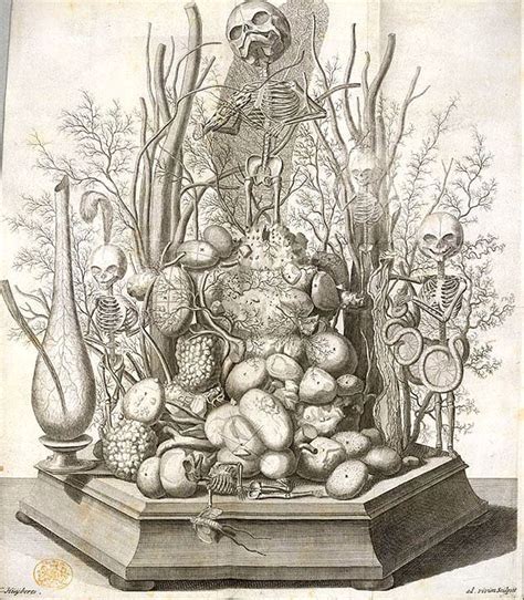 Amsterdam, netherlands, 22 ruysch was the son of hendrik ruysch, a secretary in the service of the state, and anna van. 11 best Frederik Ruysch images on Pinterest | Anatomy art, Cabinet of curiosities and Skeletons