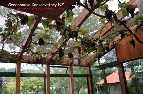A greenhouse allows you to control your growing environment year round, so if you live in an area with four seasons or extreme winters or summers, your plants and crops won't suffer. nz-greenhouse - Permaculture Visions
