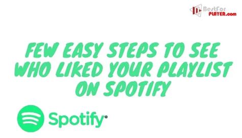 few easy steps how to see who liked your playlist on spotify