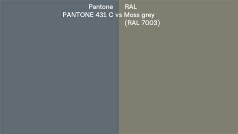 Pantone 431 C Vs Ral Moss Grey Ral 7003 Side By Side Comparison
