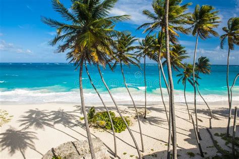Bottom Bay Tropical Beach In Barbados Stock Image Image Of Scenery Sunlight 236272895