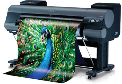 Large Scale Printing Litho Printing And Graphics Eastpointe
