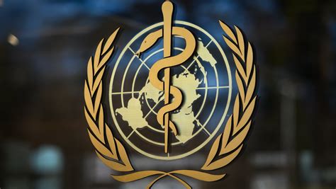What Is The World Health Organization