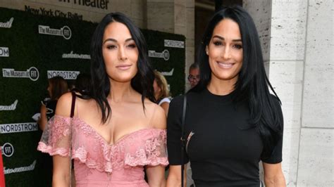 Brie And Nikki Bella Shot Completely Naked Pregnancy Photos Together