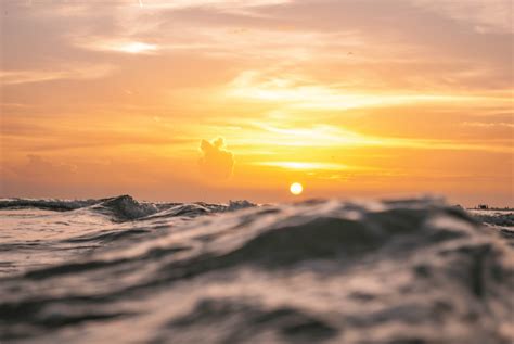 Marine Heat Waves Are Becoming More Frequent Longer Lasting And More