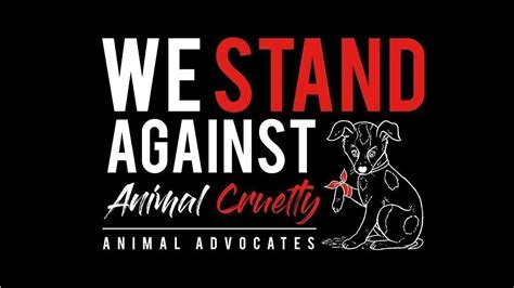 Petition · Stop Animal Cruelty ·