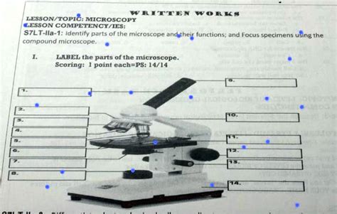 Solved Written Work Lessontopic Microscopy Lesson Competencyies