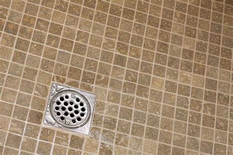 How To Unclog A Blocked Shower Drain Cleaning Bathroom Mold Mold In