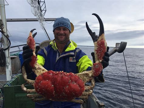 Largest King Crab In The World