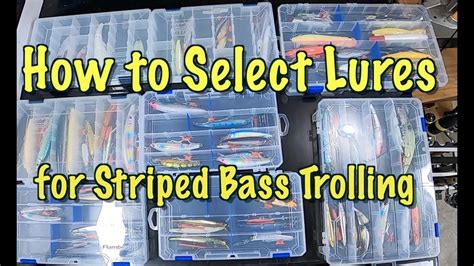How To Choose Lures For Fall Striped Bass Light Tackle Trolling Youtube