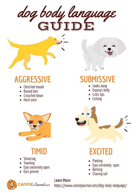 Dog Body Language Guide What Is Your Dog Trying To Tell You