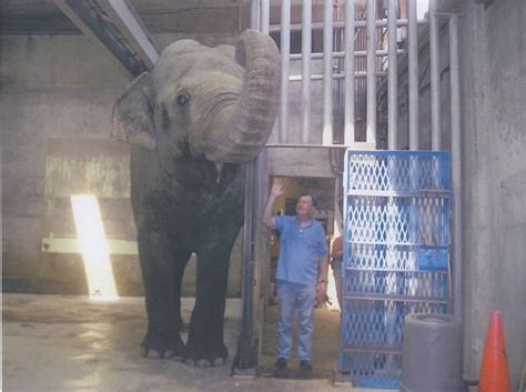 How Bob Pearson Built A Ventilator For Tusko The Elephant