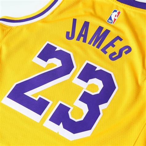 Nike Kids Los Angeles Lakers Lebron James 23 Icon Swingman Nba Jersey