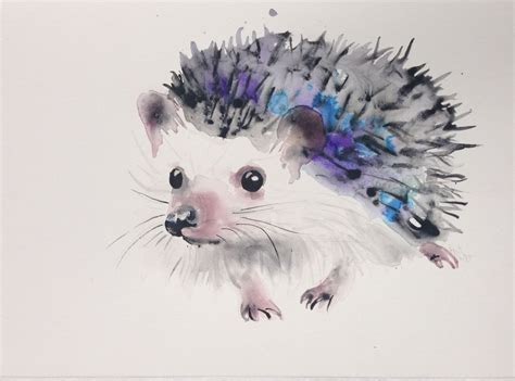 Hedgehog 2014 Watercolour By Tina Brosi Hedgehog Art Watercolor