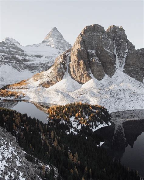 First Light On Mount Assiniboine Bc For The Next Two Weeks