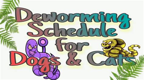 Deworm the new dog as soon as they arrive at your home. Deworming Schedule for Dogs and Cats - YouTube