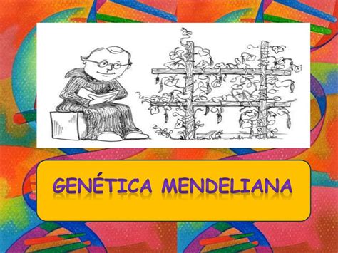 Ppt GenÉtica Mendeliana Powerpoint Presentation Free Download Id