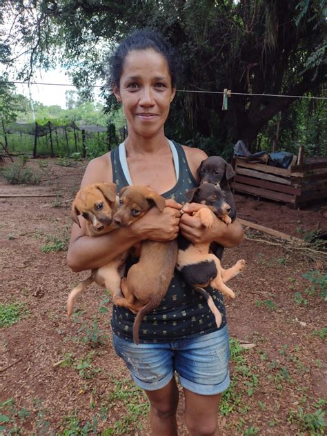 Quatro Filhotes De Cachorro S O Resgatados De Buraco Em Zona Rural De Prat Nia V Deo Bauru E