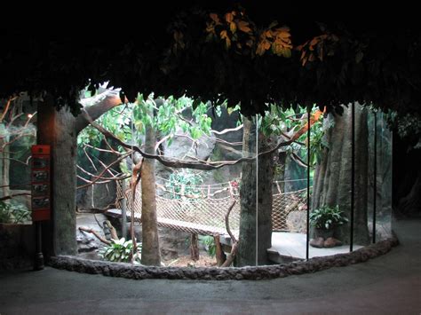 Natural Encounters Rainforest Canopy Exhibit Zoochat