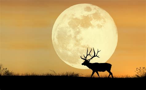 Julys Full Buck Moon Is The First Supermoon Of 2023