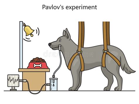 Pavlov Dog Stock Illustrations 31 Pavlov Dog Stock Illustrations