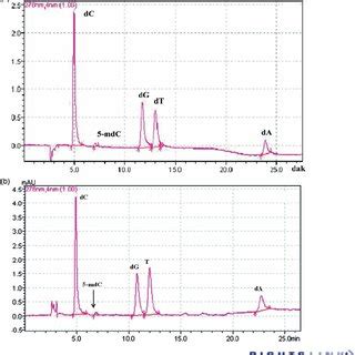 A Representative HPLC Chromato Gram Of All Five Deoxyribonucleosides