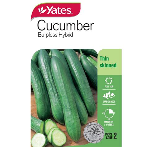 Yates Vegetable Seed Cucumber Burpless Mitre10