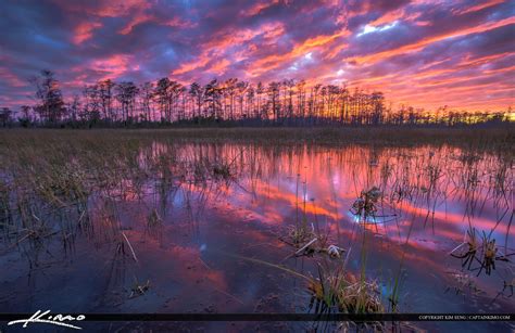 Florida Wetlands Landscape Sunset Colors Pbg