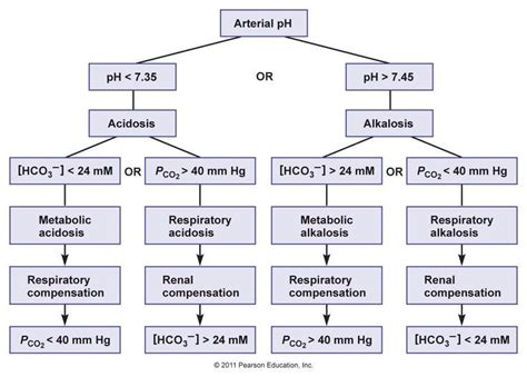Acidosis Vs Alkalosis Cheat Sheet