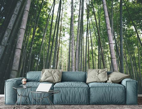 Bamboo Trees Murals Forest Mural Peel And Stick Removable