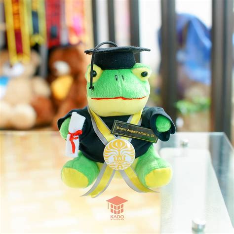 Jual Hadiah Wisuda Boneka Keroppi S Jogja