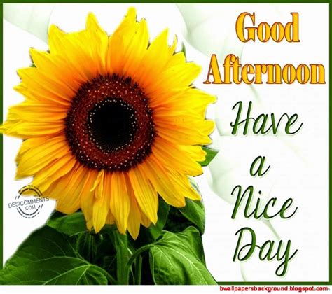 Good Afternoon Have A Nice Day Pictures Photos And Images For