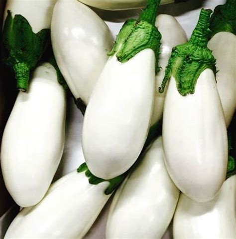 White Eggplant Sam Vegetable