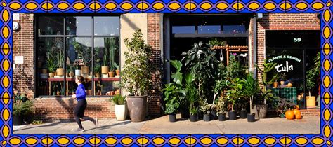 Rare Plant Shop Greenpoint Brooklyn Tula House