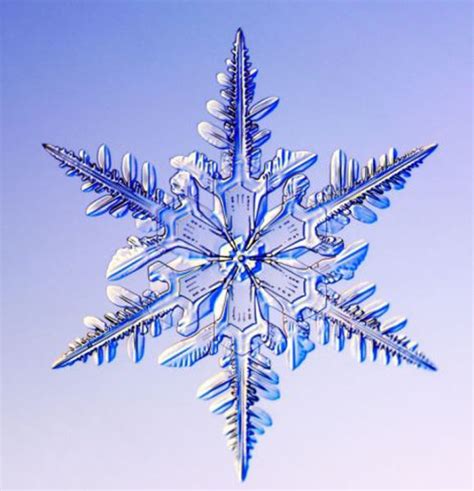The Beauty Of Snowflakes Up Close 24 Pics