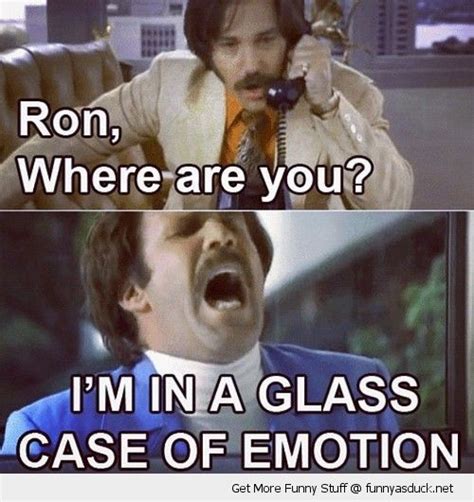 Funny Ron Burgundy Anchorman Glass Case Of Emotion Funny Pictures Funny Good Movies