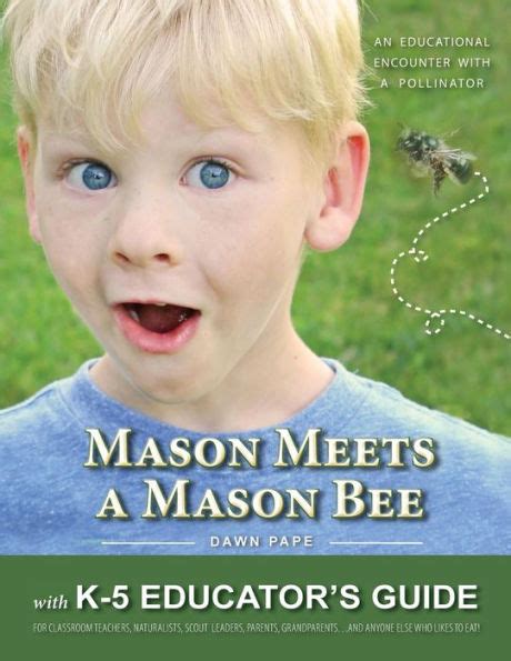 Mason Meets A Mason Bee An Educational Encounter With A Pollinator