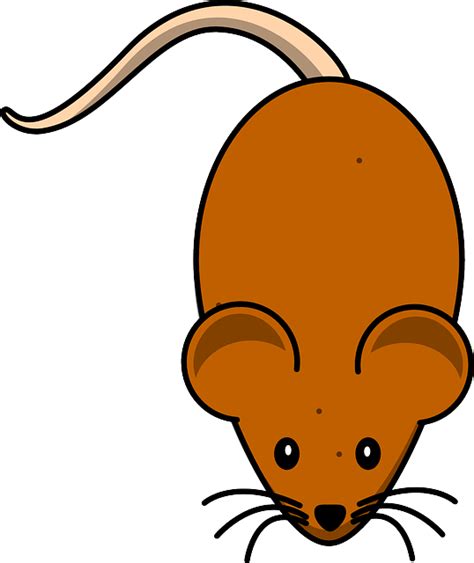 Mice Mouse Brown · Free Vector Graphic On Pixabay