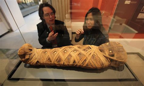 Study Of Mummies Shows Clogged Arteries