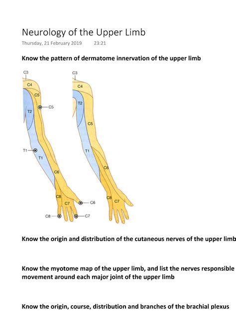 Neurology Of The Upper Limb Know The Pattern Of Dermatome Innervation